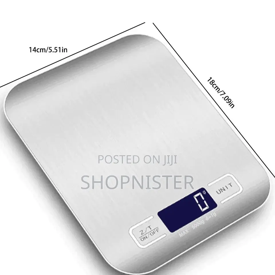 Portable Stainless Electronic 5kg Scale