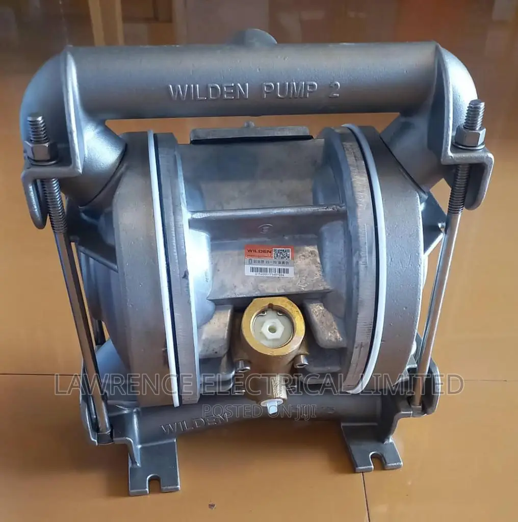 Wilden Pump 1"
