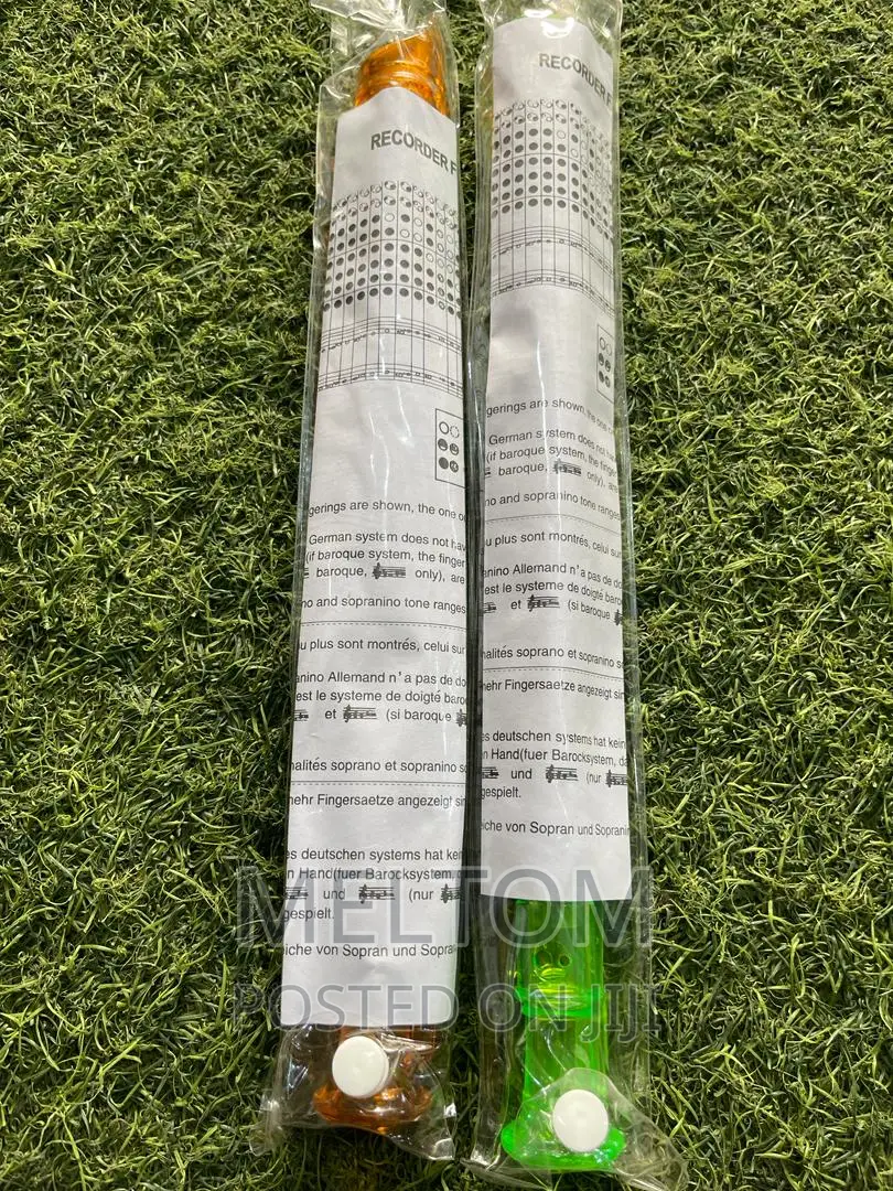 Plastic Recorder Flute