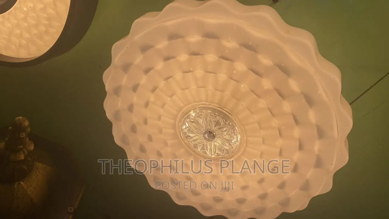 Modern Ceiling Light