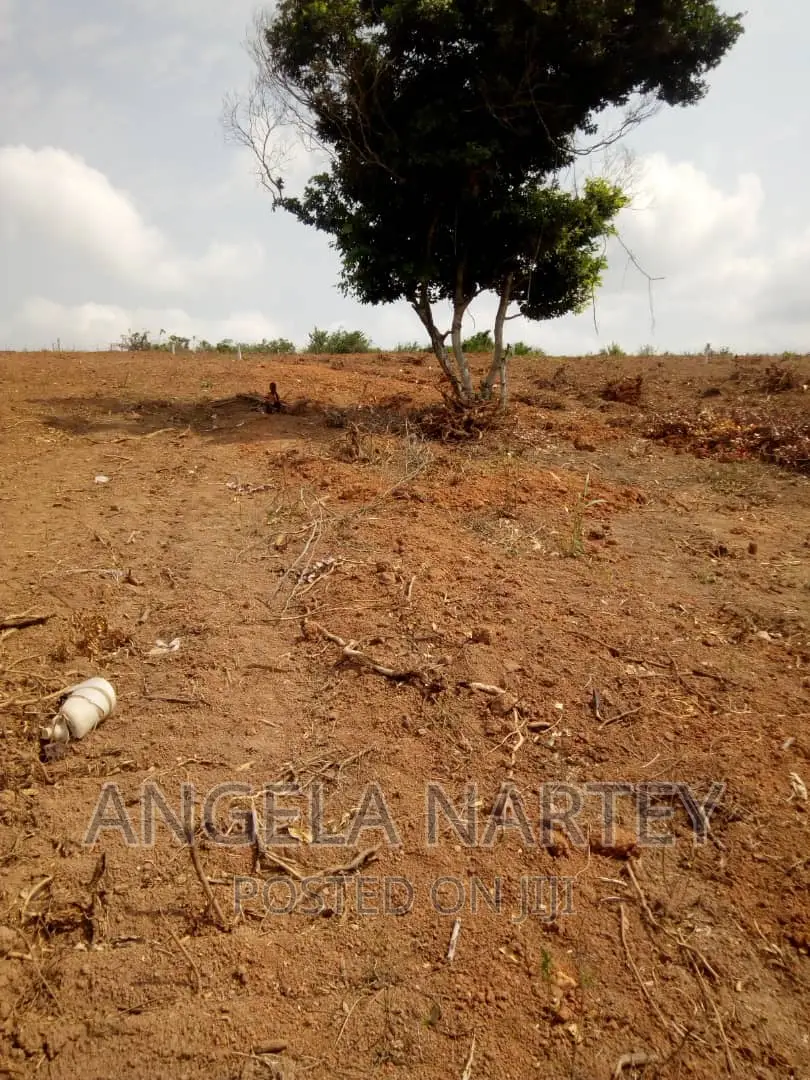 Land for Sale at Tsopoli