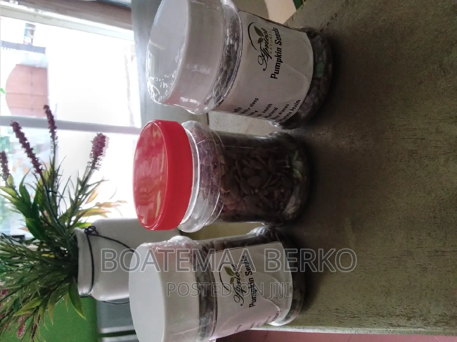 Organic Pumpkin Seed