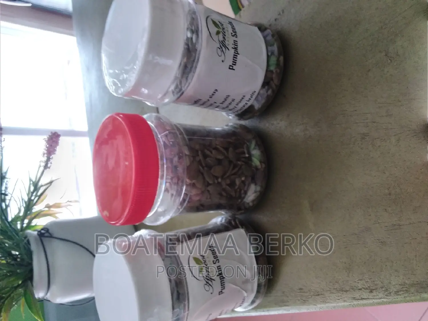 Organic Pumpkin Seed