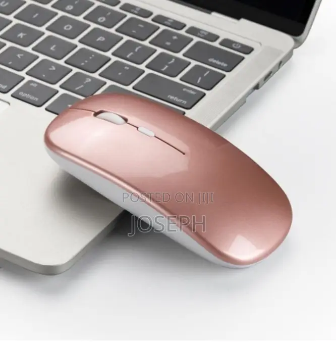 Bluetooth Wireless Mouse Chargeable