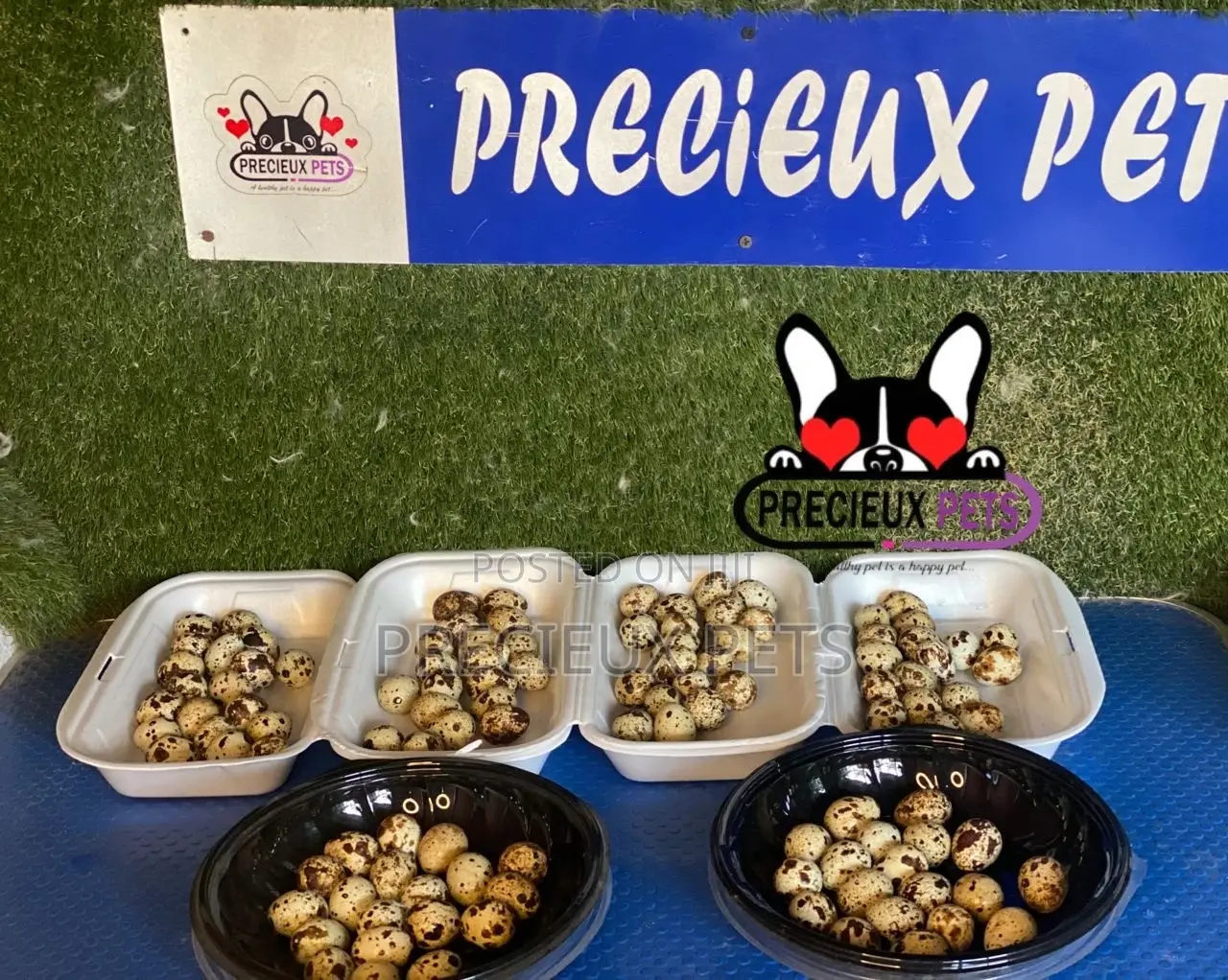 Quails Eggs