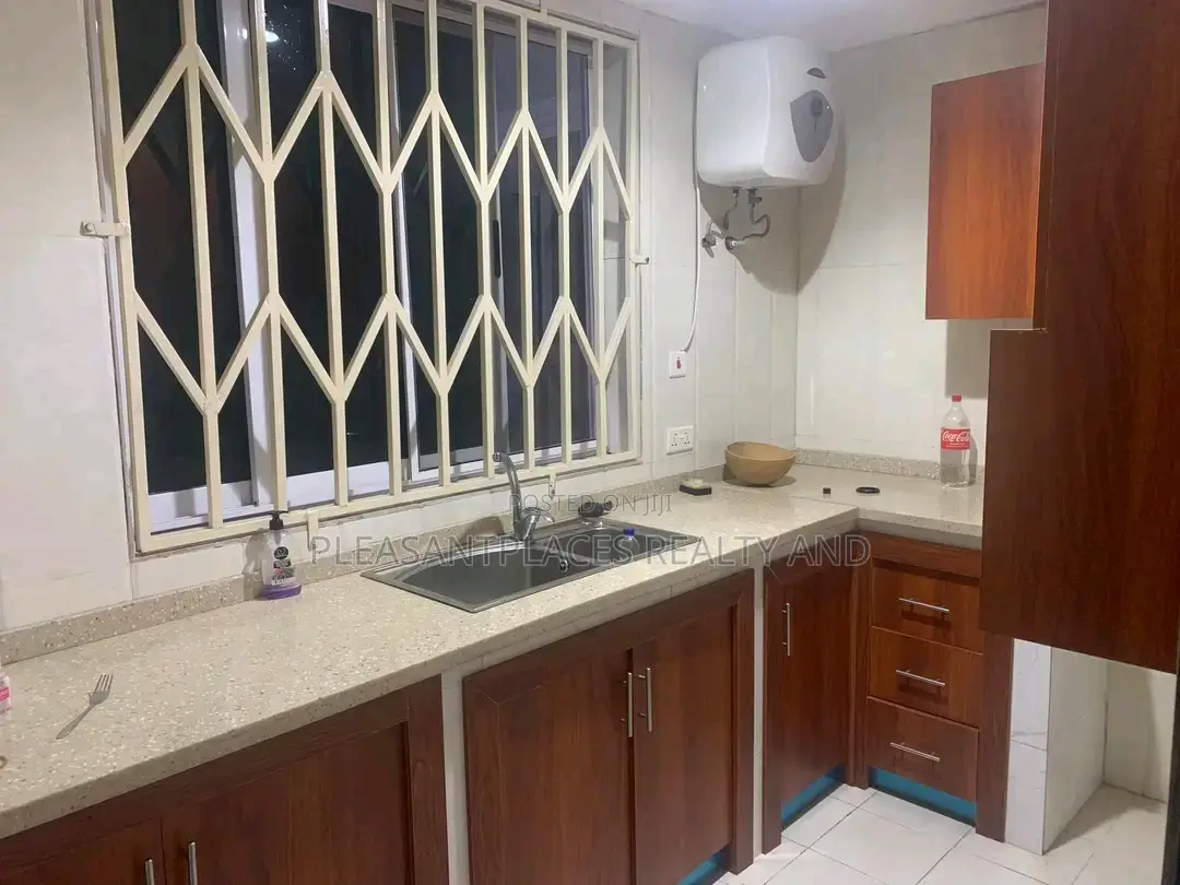 2bdrm Apartment in Pleasantplaces, Dzorwulu for rent
