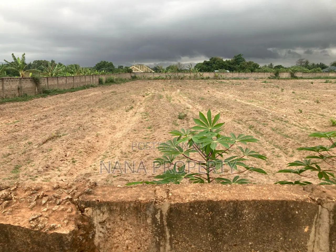 Six Plots of Land for Sale Located at Adenta Rowi