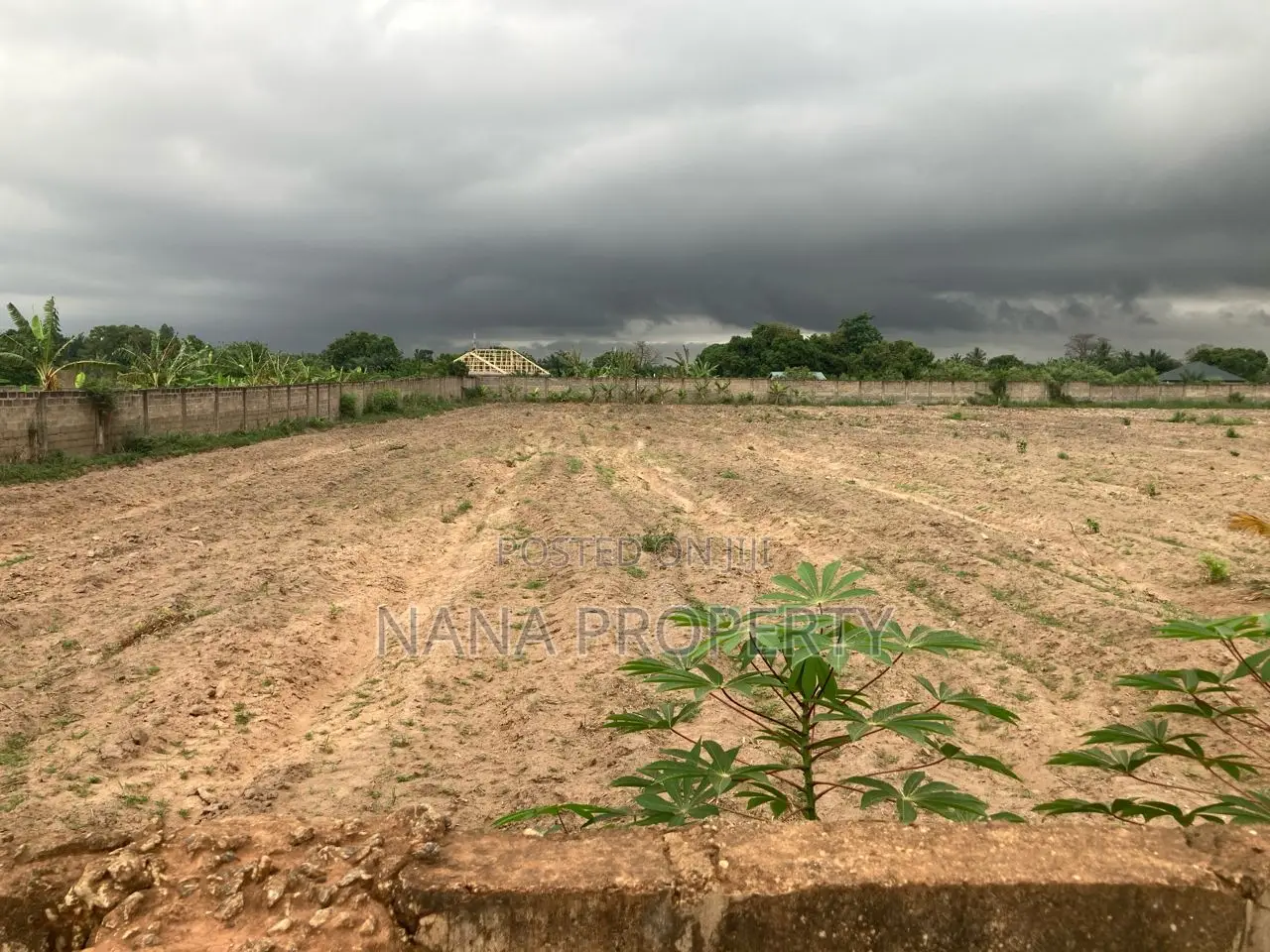 Six Plots of Land for Sale Located at Adenta Rowi