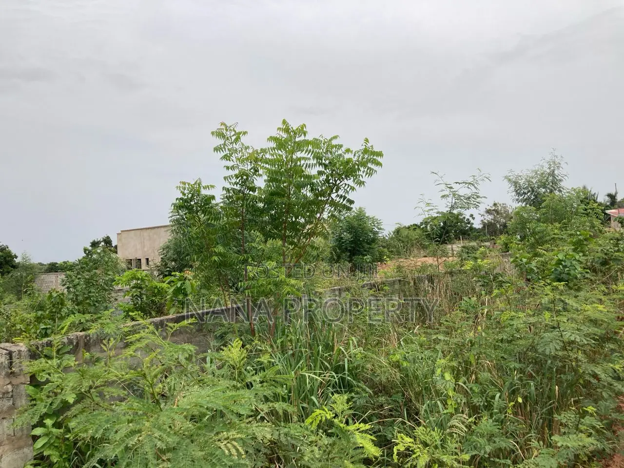 Four Plots of Land for Sale Located at Oyarifa Danfa