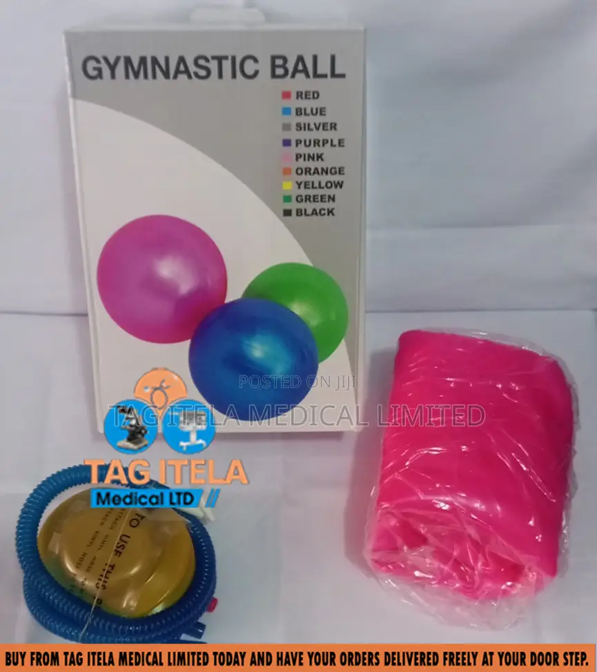 Gymnastic Exercises Ball (65cm)