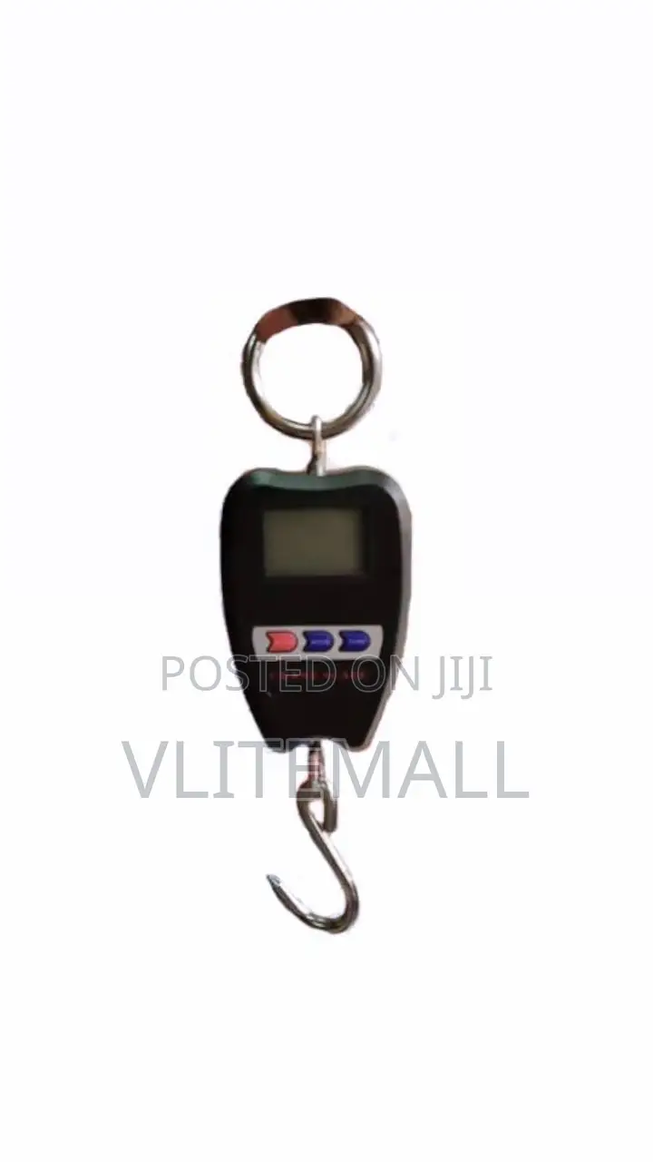 200kg Mini Crane Scale (No:8088)