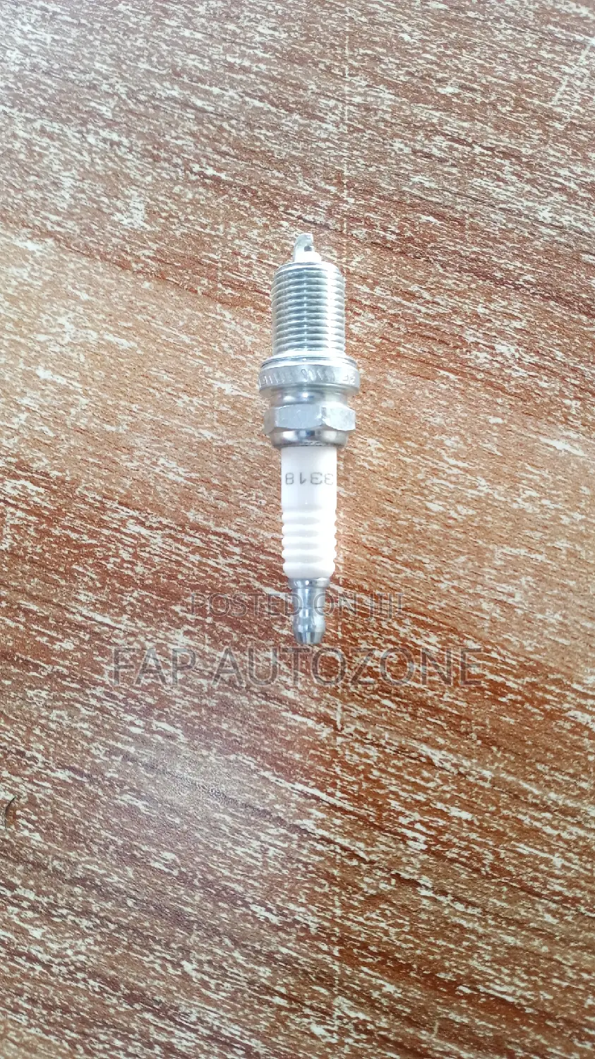 01528. Original Champion Plug From Usa. 3318