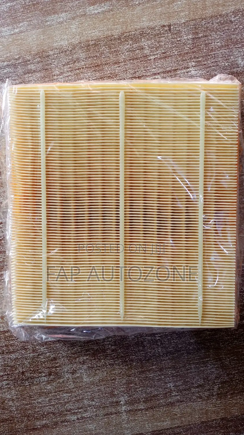 01517. Original Air Filter for Chevy, GMC From Usa Wa10256