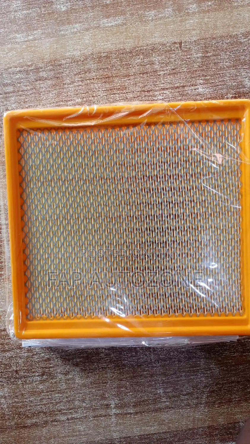 01517. Original Air Filter for Chevy, GMC From Usa Wa10256