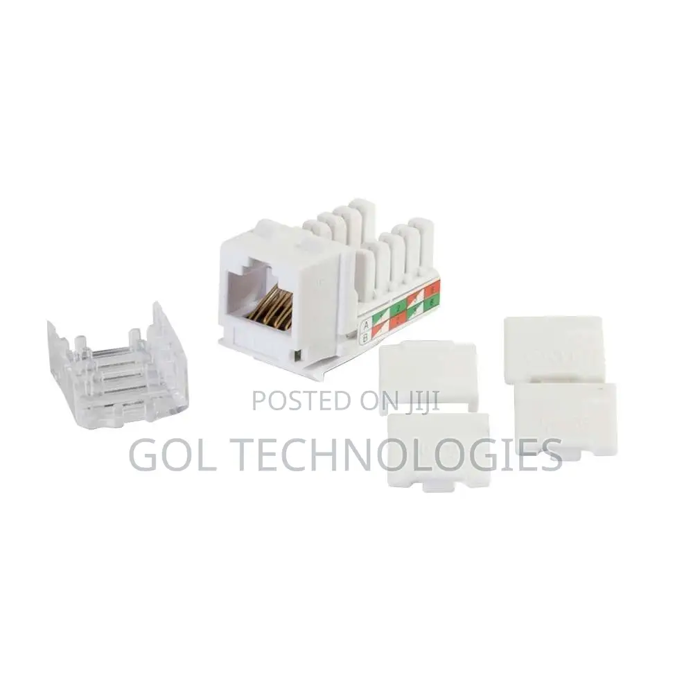 Double Faceplate or Wall Socket With Jack Cat6