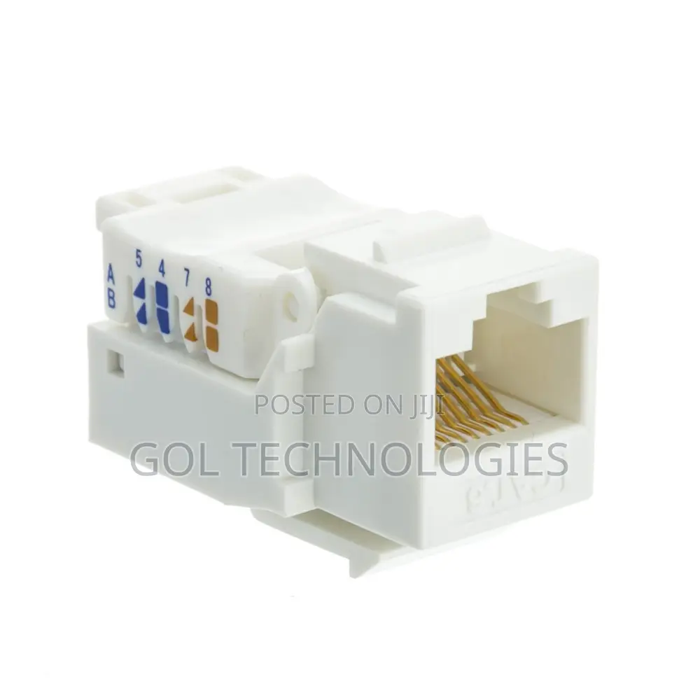 Double Faceplate or Wall Socket With Jack Cat6
