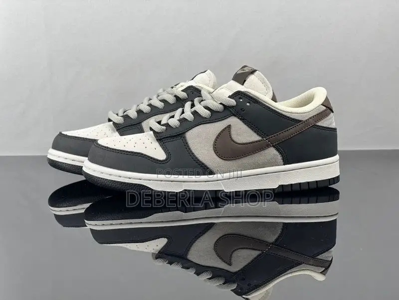NIKE Sb Low Dunk Shoe