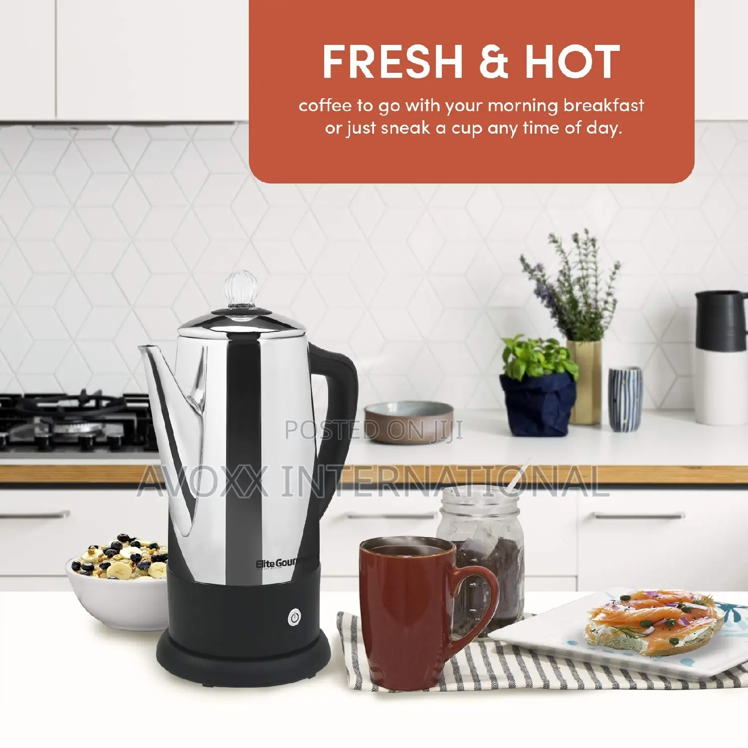 Elite Gourmet 12 Cup Stainless Steel Percolator EC812