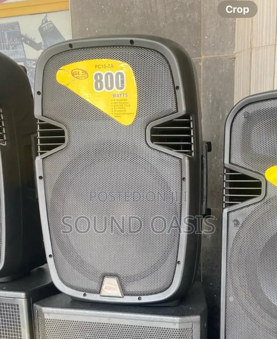GLS 15inches Bluetooth Speaker With Two Microphones(800watt)