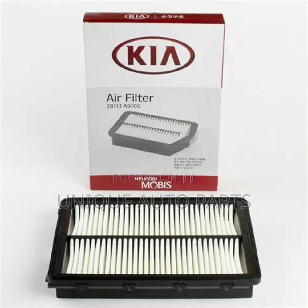 Hyundai 28113-A9100 Air Cleaner Filter