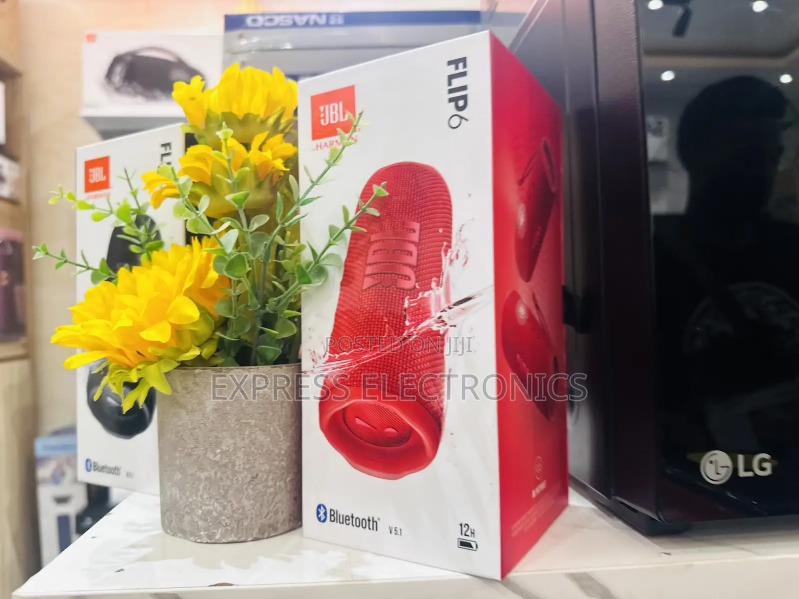 Bluetooth Music Steaming Flip 6