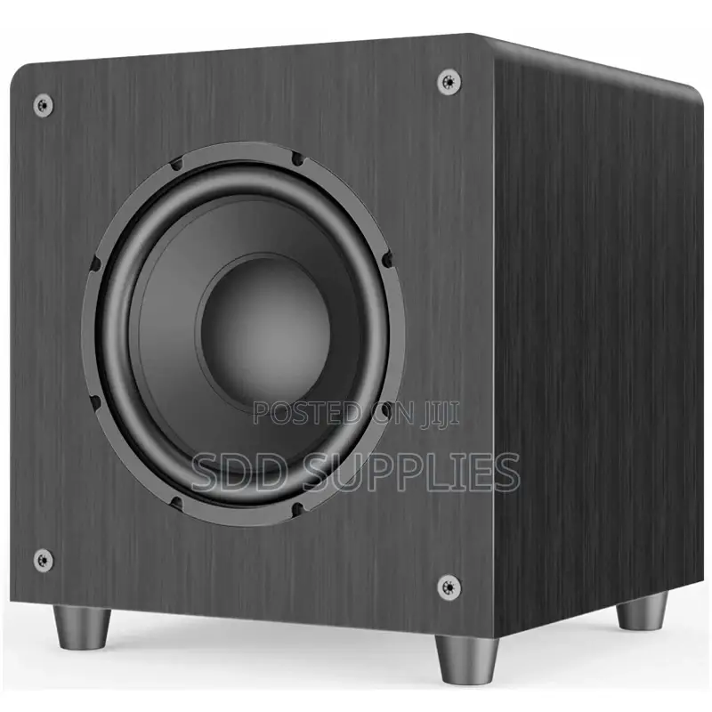 Lucky Tone 10 Inch Passive Subwoofer 300 Watts Peak Power
