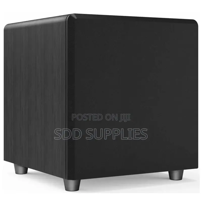 Lucky Tone 10 Inch Passive Subwoofer 300 Watts Peak Power