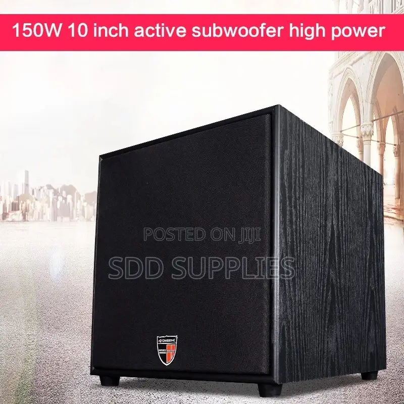 Lucky Tone 10 Inch Passive Subwoofer 300 Watts Peak Power