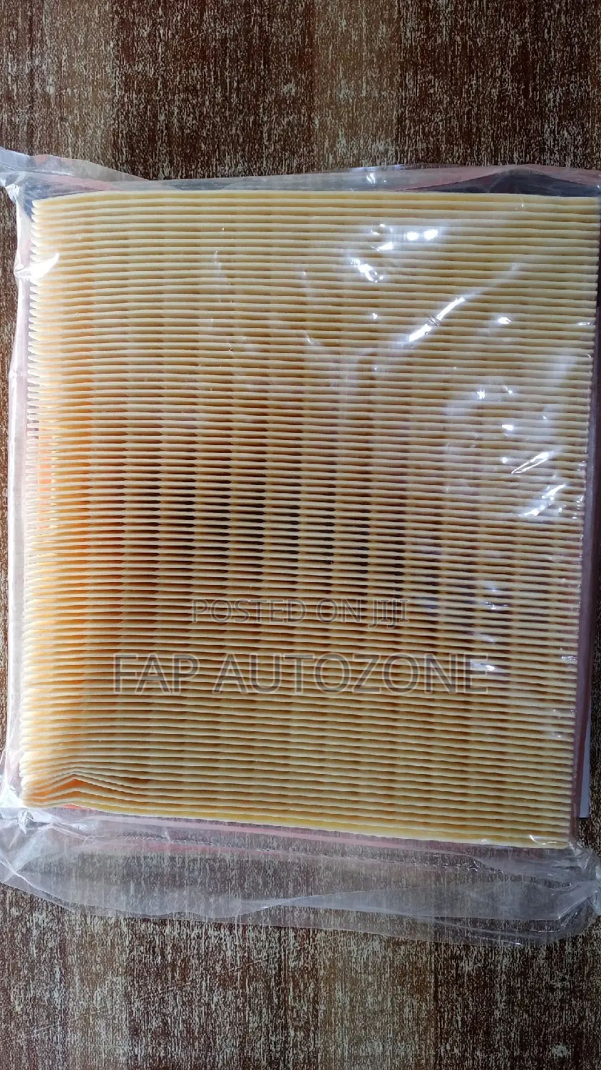 01516.Original Chevy Cadillac Buick Air Filter From Usa.
