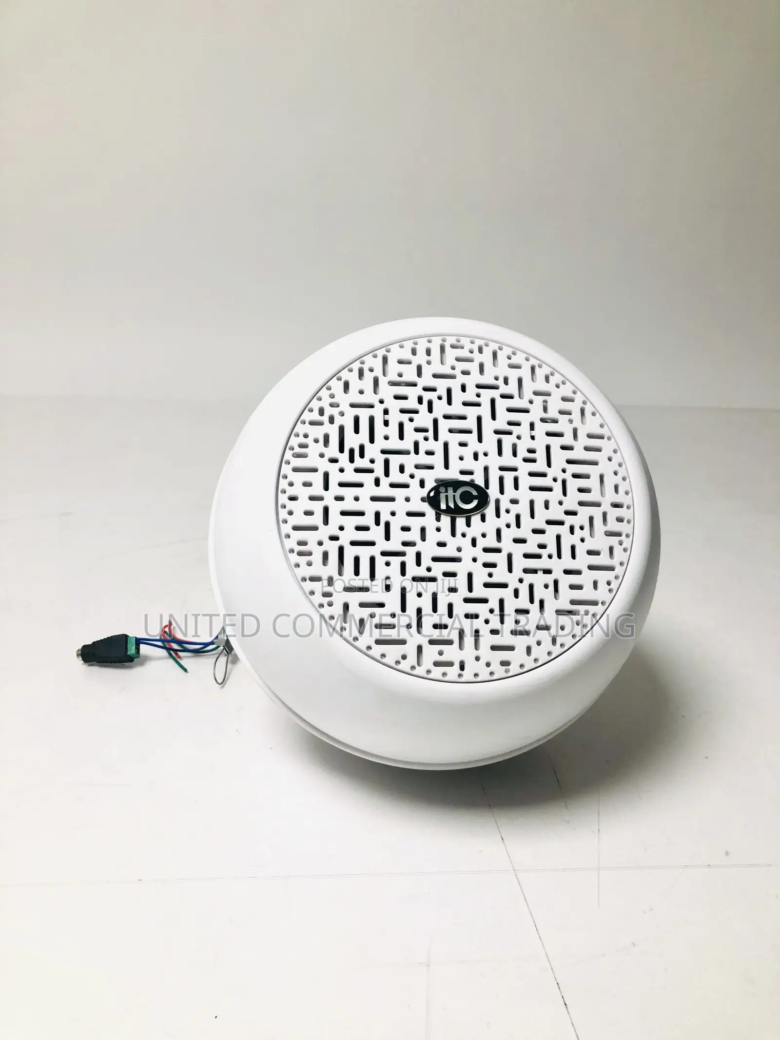 Indoor Pendant Speaker (6W)