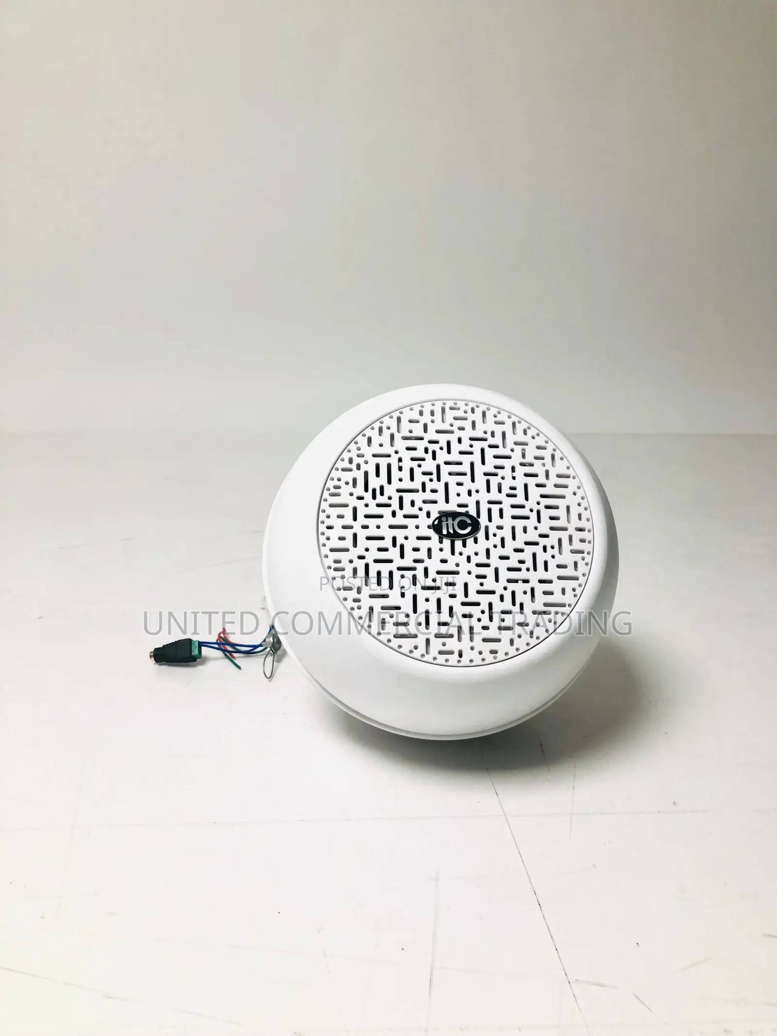Indoor Pendant Speaker (6W)