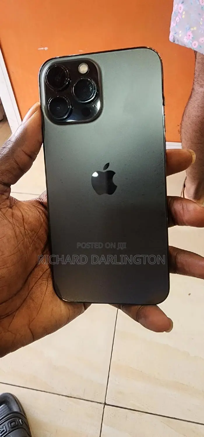 Apple iPhone 13 Pro Max 256 GB Gray