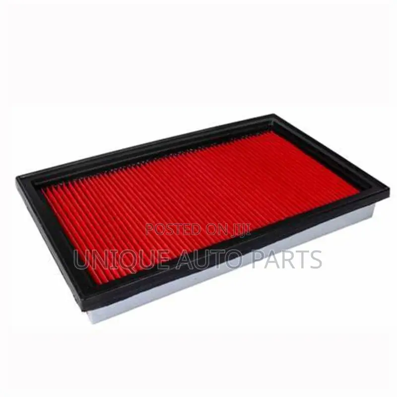 Nissan Sentra/ Quest/ Pathfinder/ Frontier -V0100 Air Filter