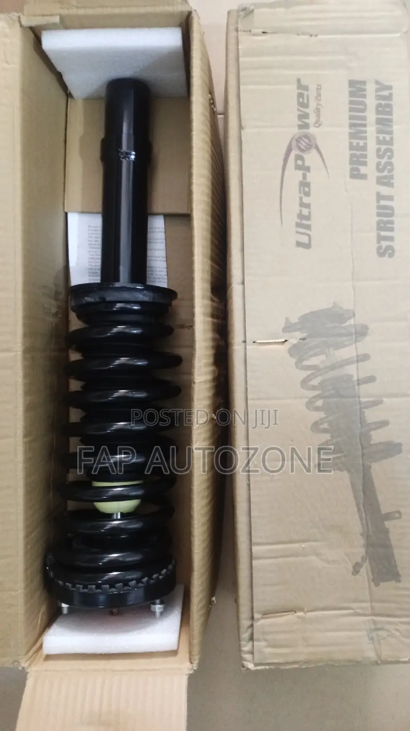 Genuine Chrysler 300,Charger, Magnum Complete Strut Assembly From USA