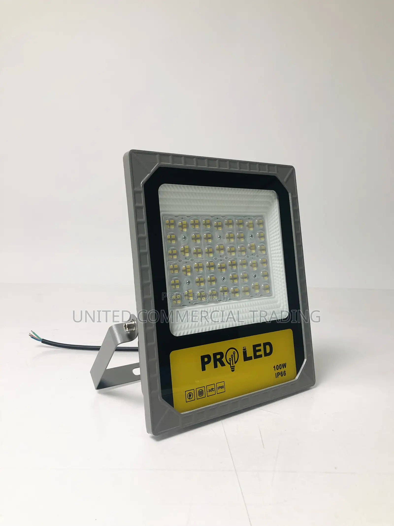 Flood Light (100W)