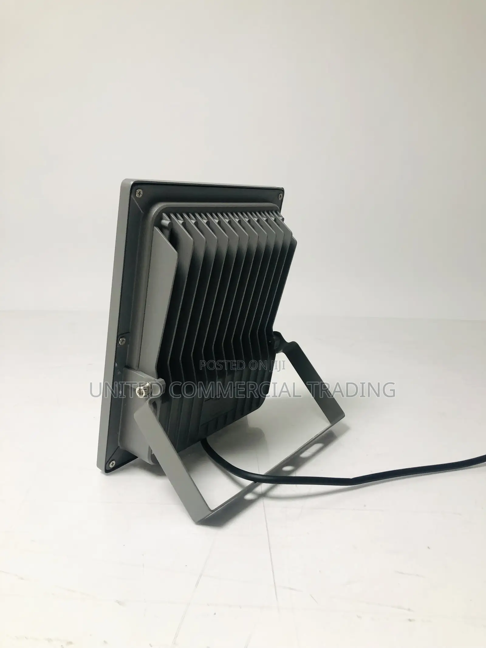Flood Light (100W)