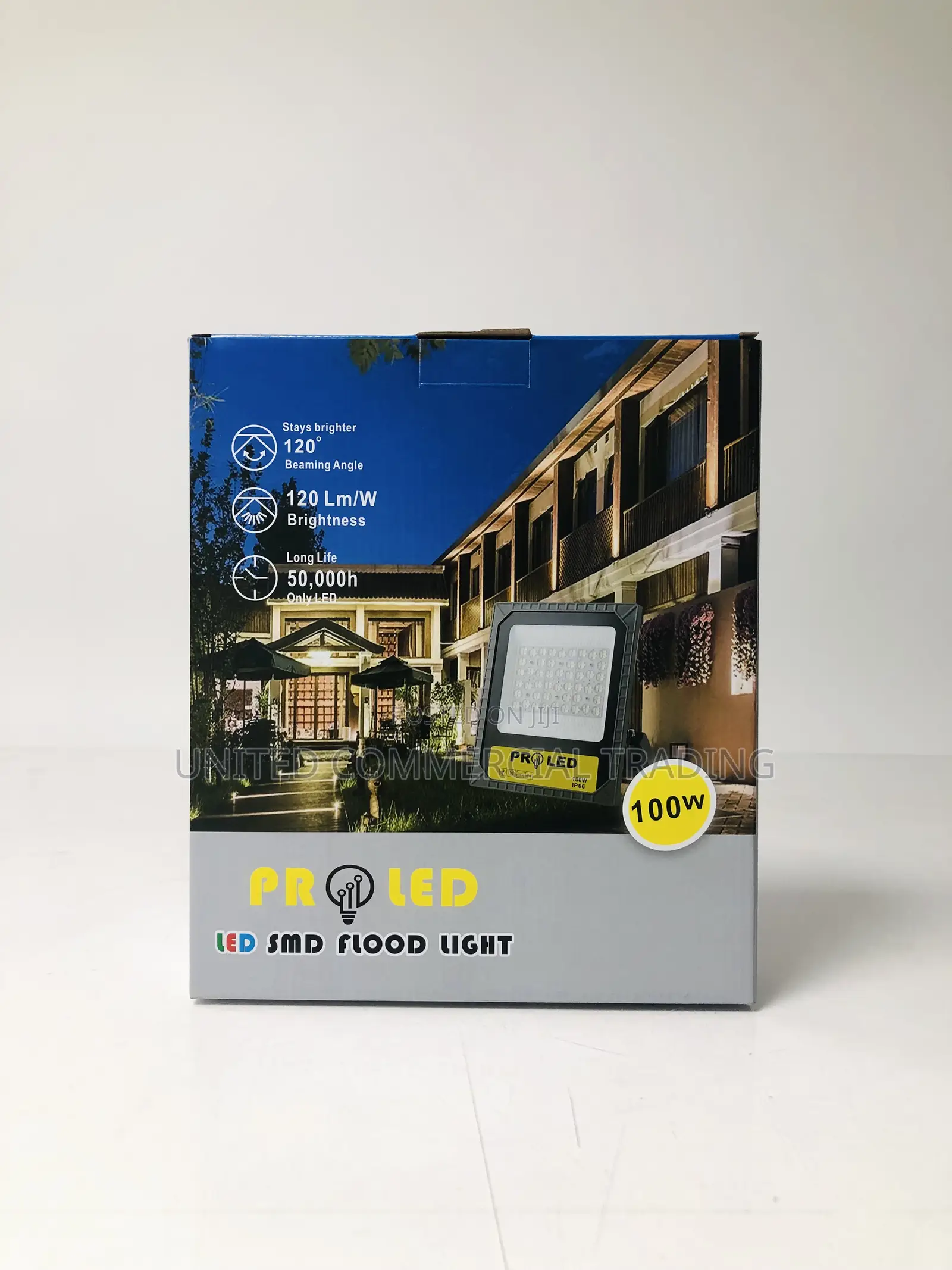Flood Light (100W)