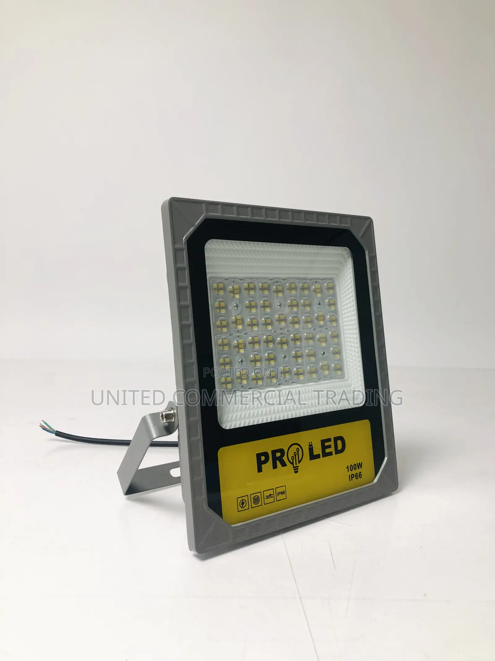 Flood Light (100W)