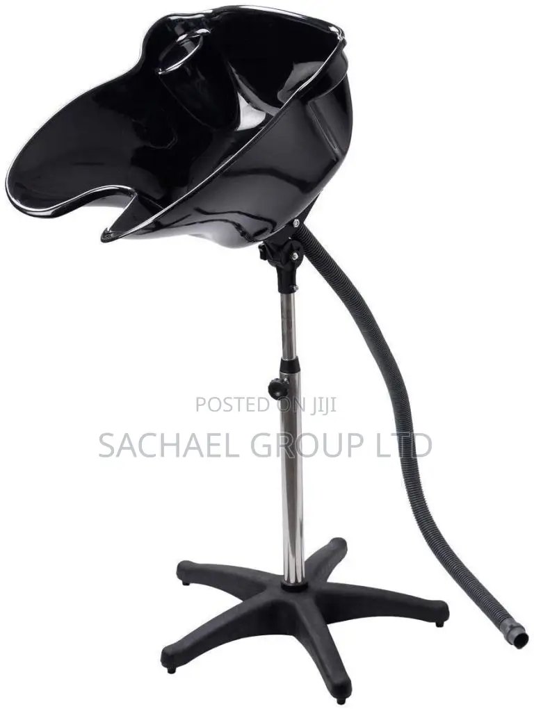 Standing Hair Washer