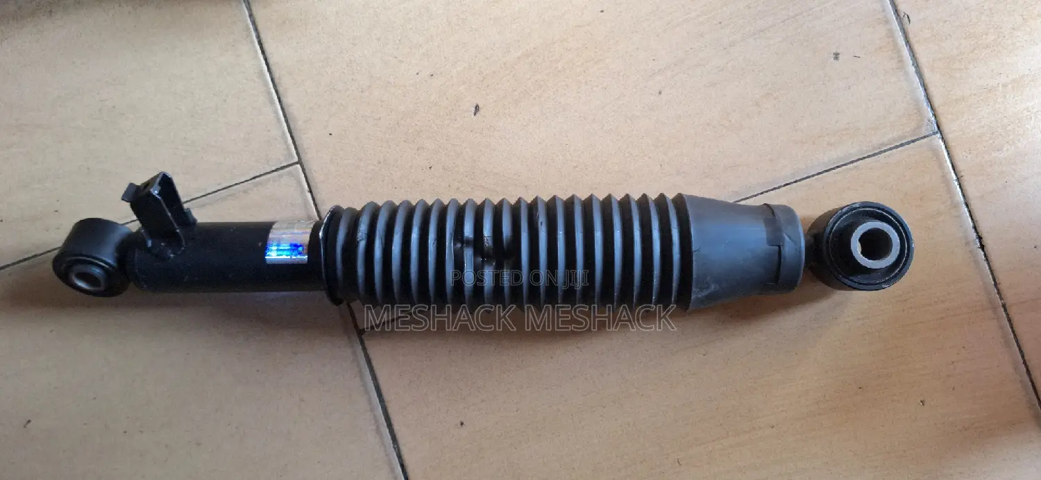 Hyundai Sant Fe 2012 Back Shock Absorber