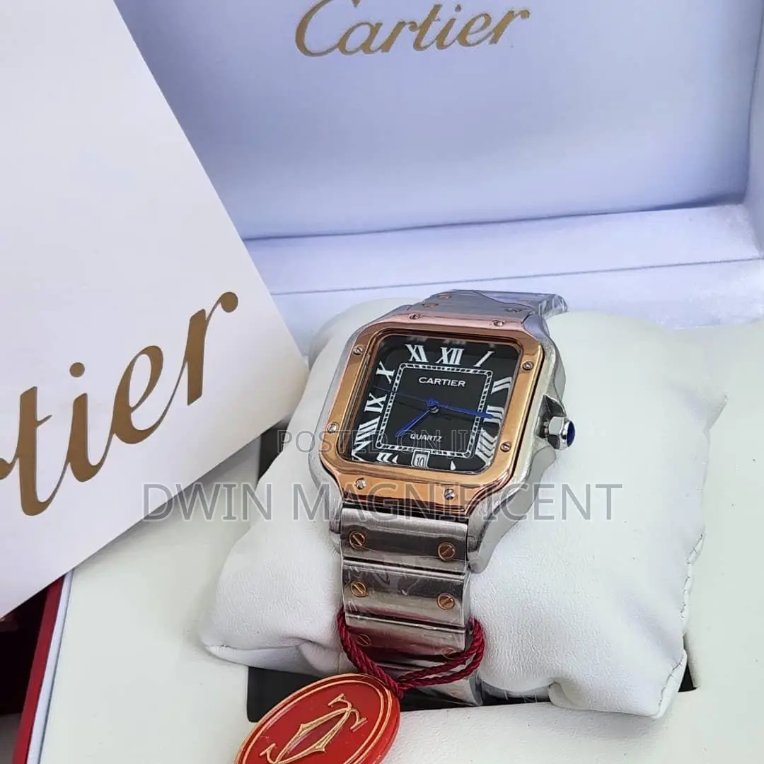 Santos De Cartier Watches
