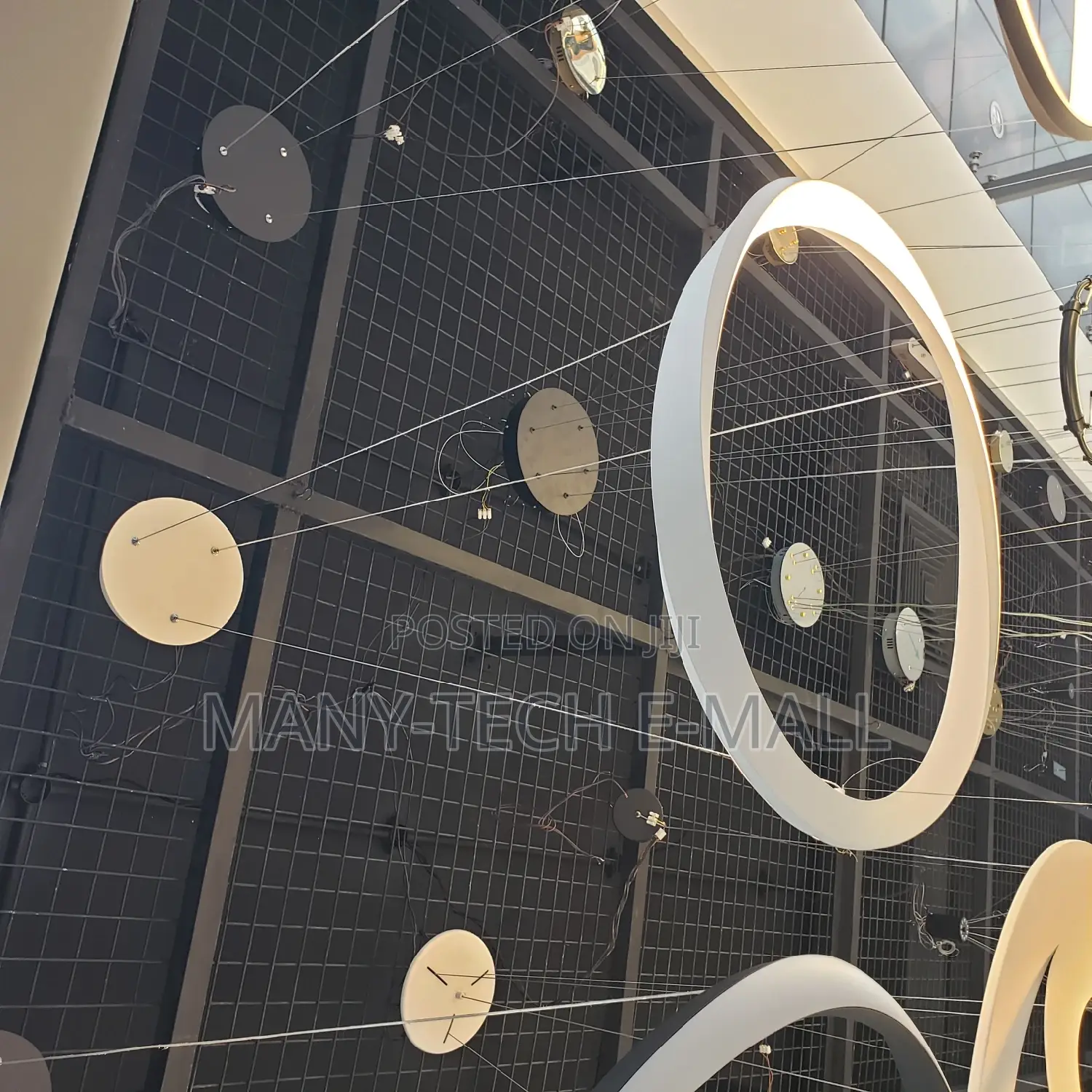 Luxurious Ceiling LED Pendant Light.