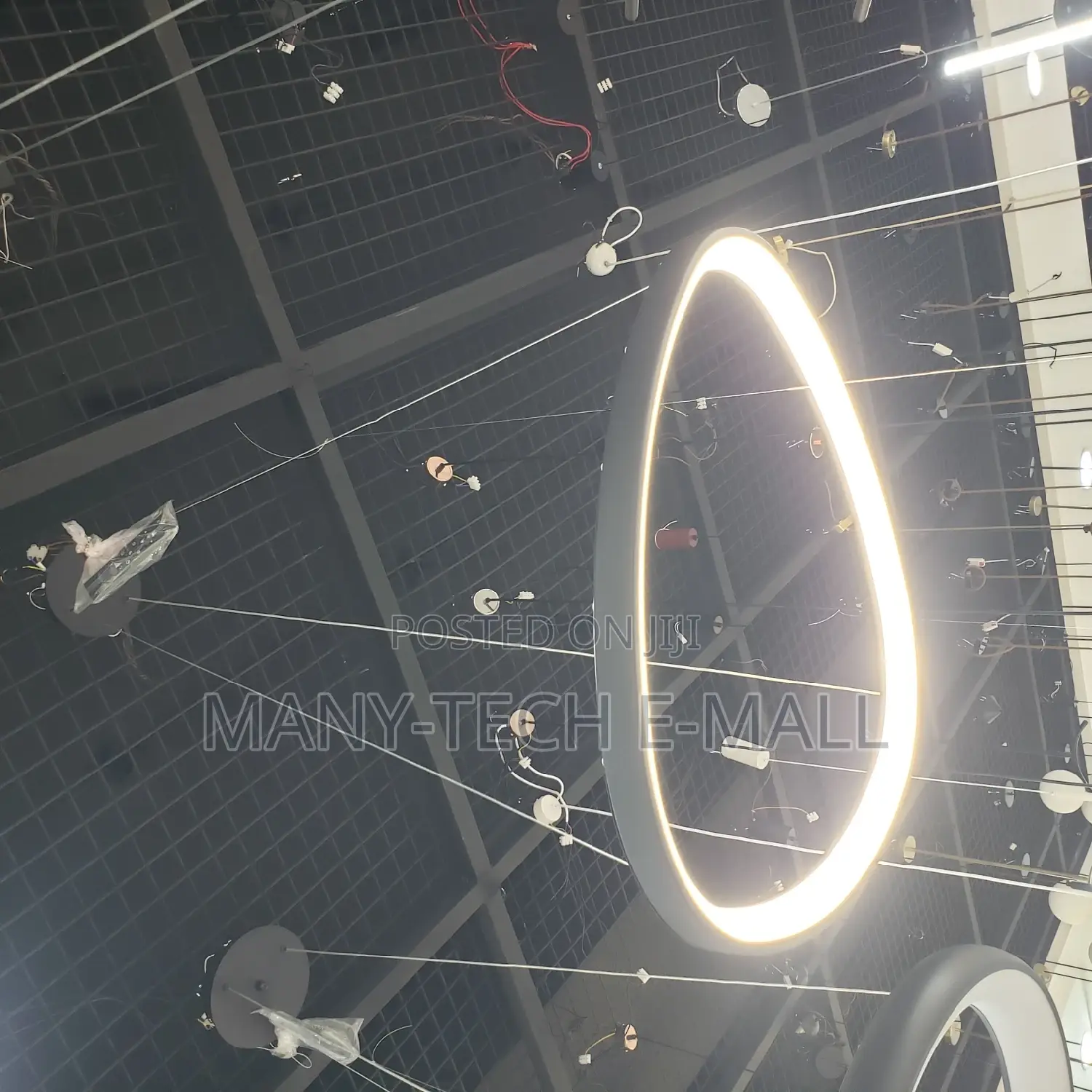 Luxurious Ceiling LED Pendant Light.