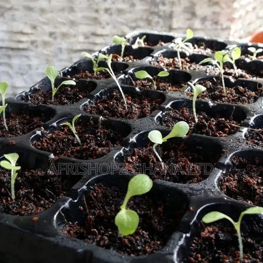 Nursery Tray