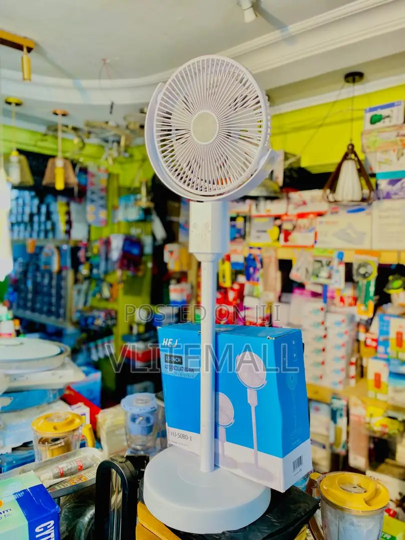 Portable Oscillating Standing Fan