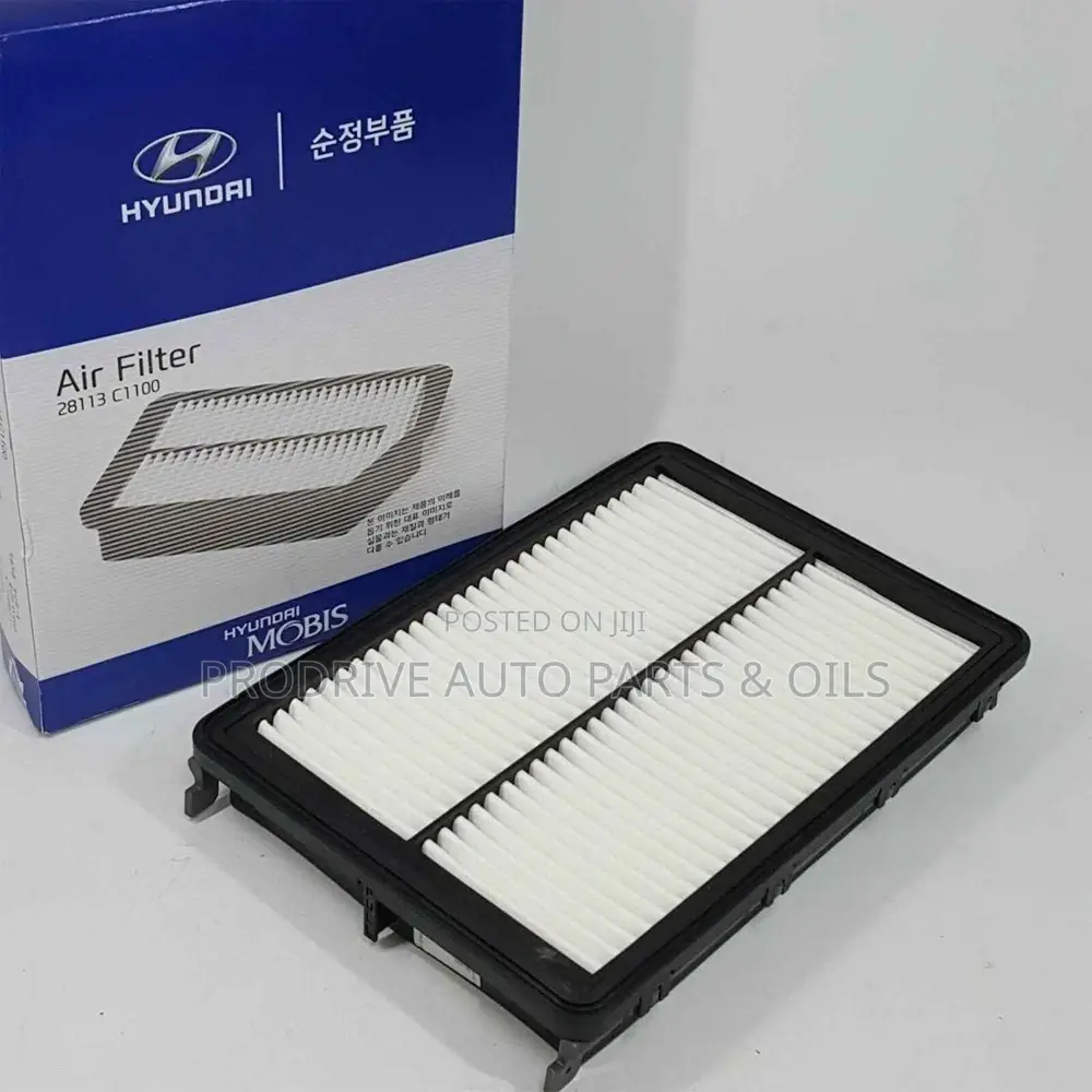 Hyundai Sonata Air Filter (C1100)
