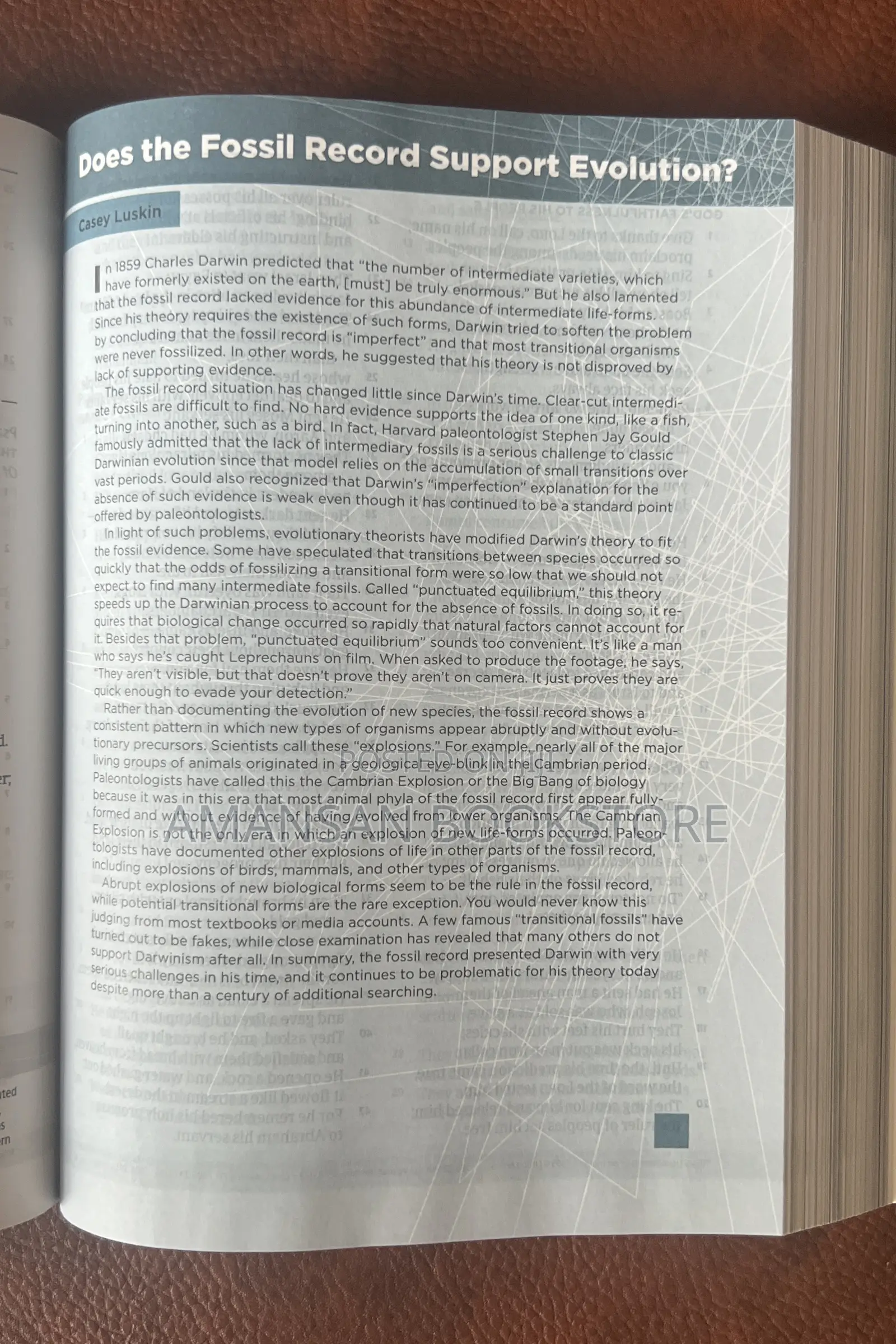Apologetics Study Bible for Students CSB