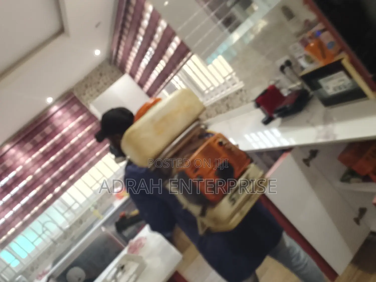Bedbugs, Cockroach, Mosquitoes, Fumigation Service