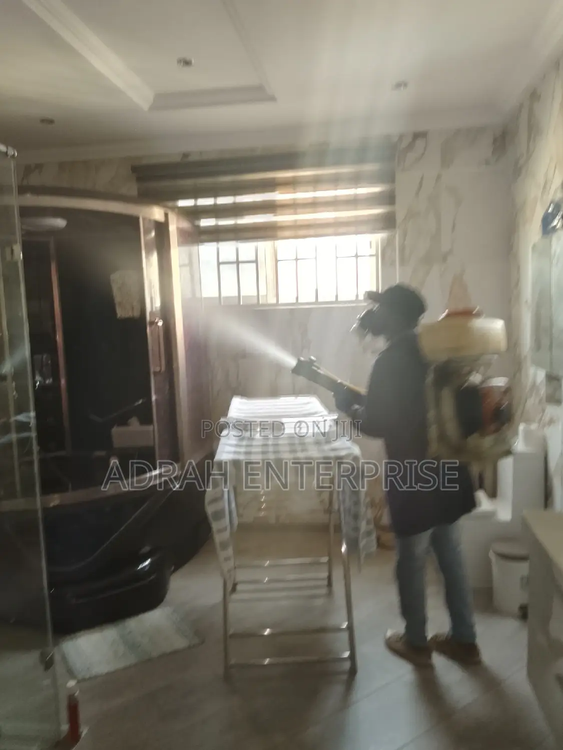 Mosquitoes, Cockroach, Bedbugs,Ant, Fumigation Service