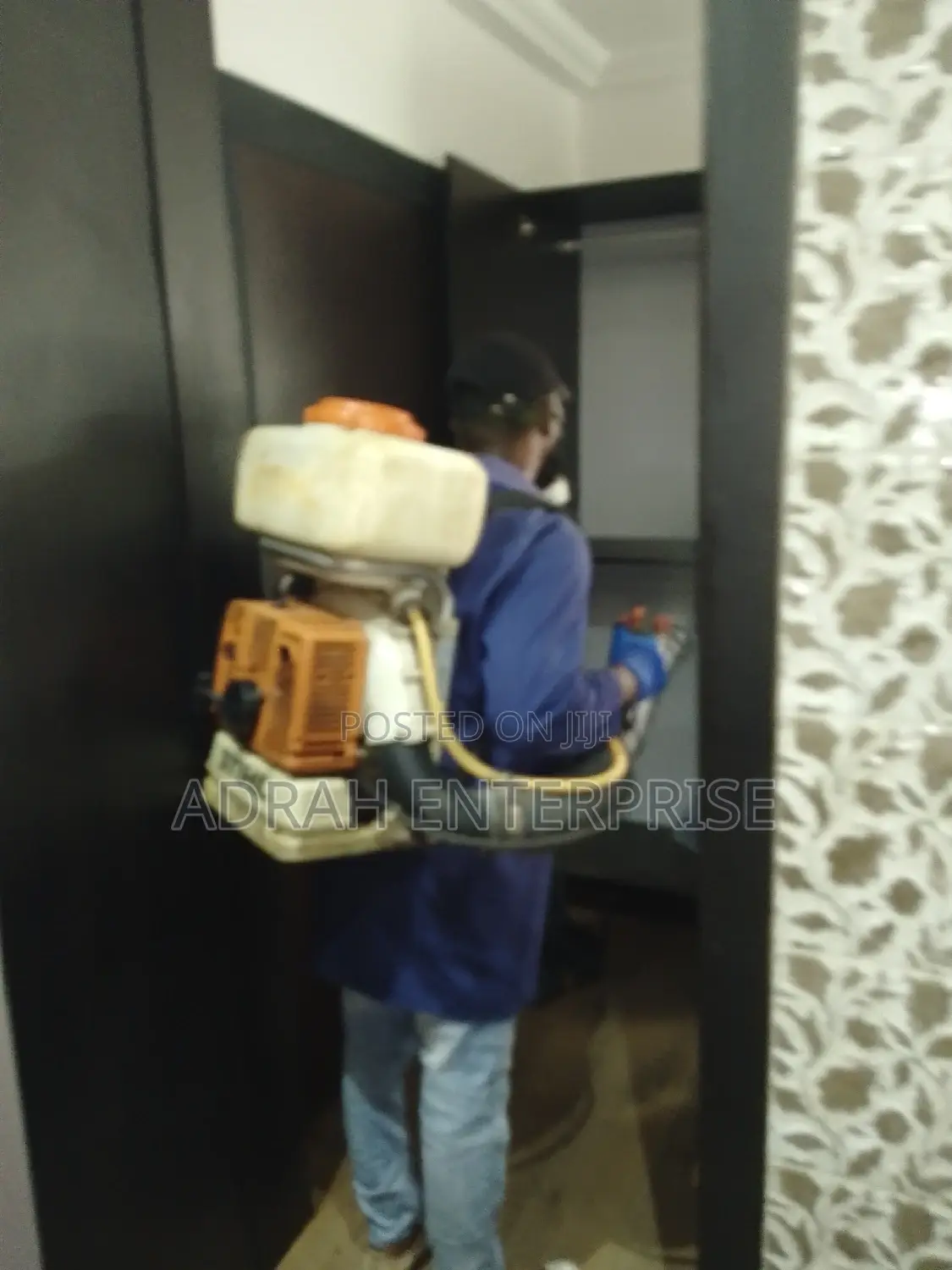 Bedbugs Lizard, Mosquitoes Cockroach Fumigation Service